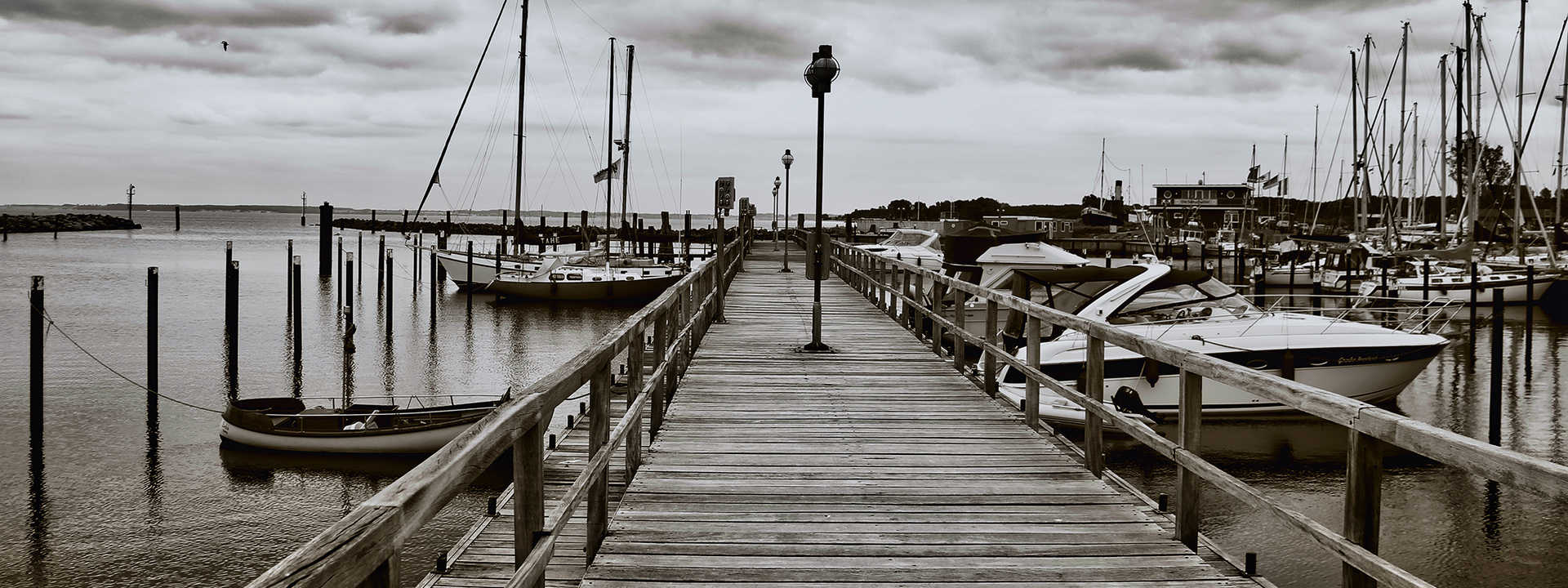 Photo Gallery at Evolution Marine