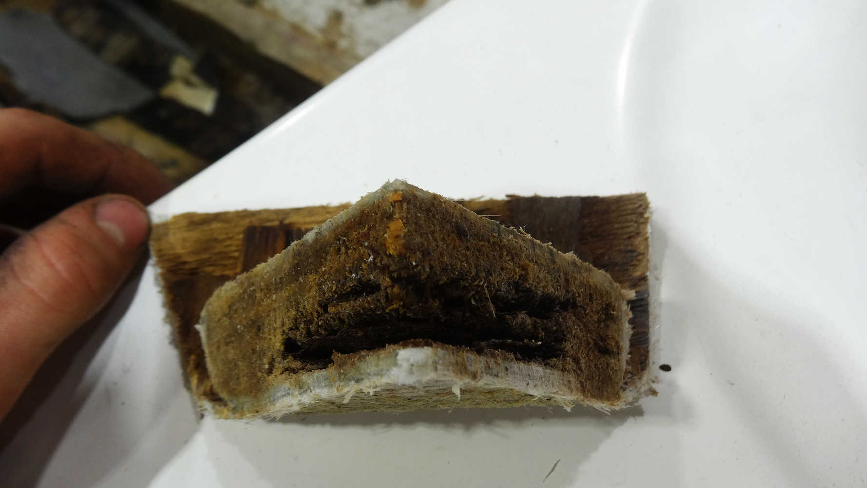 Haines Signature 1900S, stringer sample, timber rot